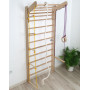 Gymnastic training fitness ladder for rehabilitation exercises 195cm